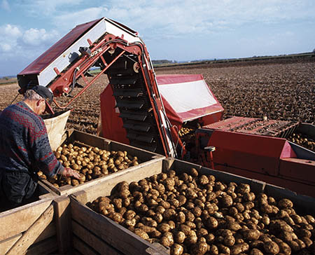 Landwirtschaft und Rundballenpressen