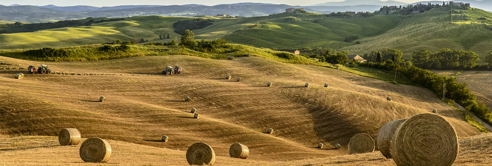 Landwirtschaft/Rundballenpressen