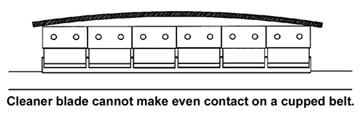 Cupped Belt