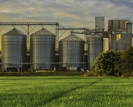Industria de granos