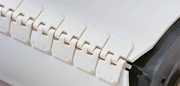 Alligator Plastic White